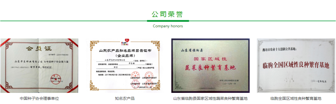 富硒蔬菜 含量(蔬菜含量富硒有哪些)-硒宝网