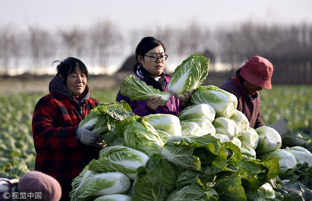 哈尔滨富硒蔬菜(哈尔滨富硒产业园)-硒宝网