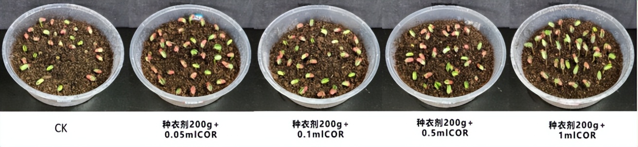 蔬菜高富硒浓度(富硒蔬菜硒含量国家标准)-硒宝网