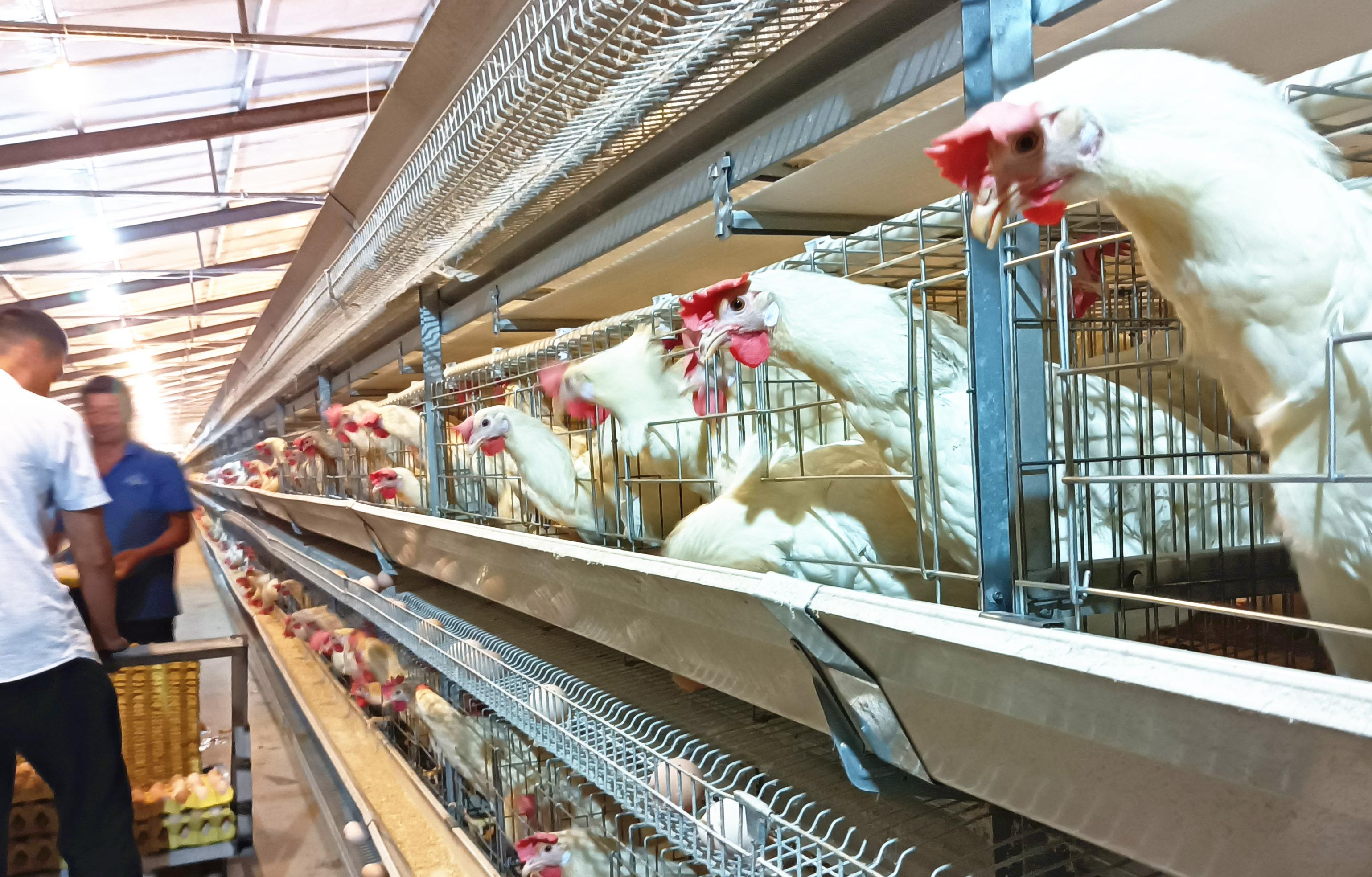 富硒蔬菜 腐烂（蔬菜腐烂富硒怎么办）-硒宝网