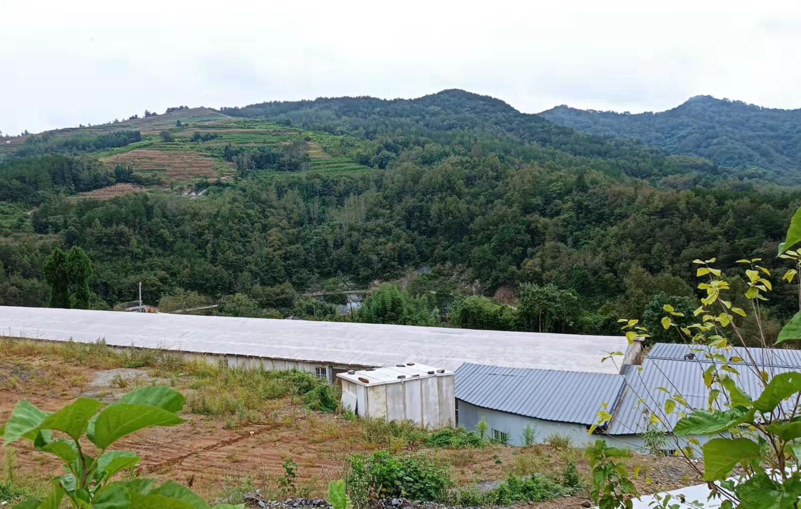 富硒蔬菜 腐烂（蔬菜腐烂富硒怎么办）-硒宝网