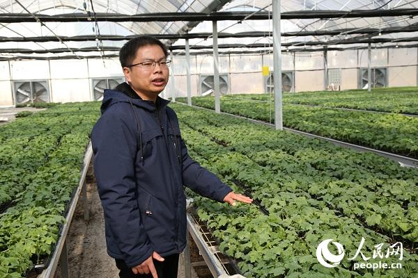 章贡区富硒蔬菜(富硒蔬菜产业园)-硒宝网