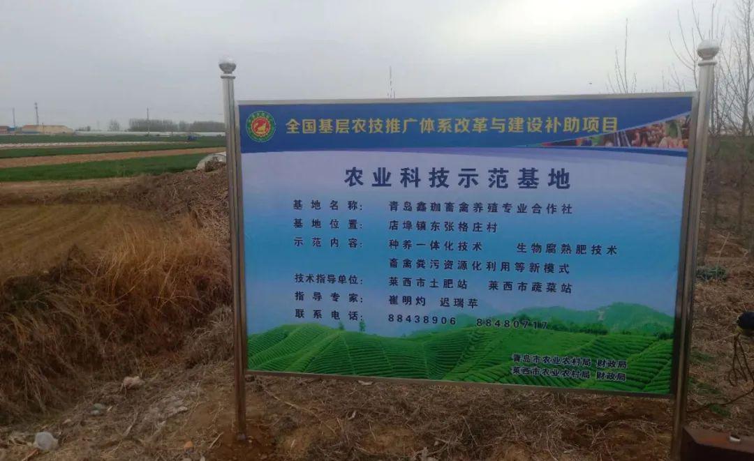 富硒蔬菜哪里有(富硒蔬菜含硒量一览表)-硒宝网