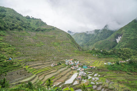 蔬菜高富硒浓度（浓度蔬菜富硒高的有哪些）-硒宝网