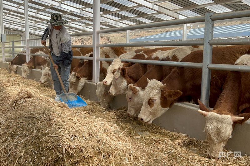 富硒蔬菜可追溯(富硒蔬菜是不是非法集资)-硒宝网
