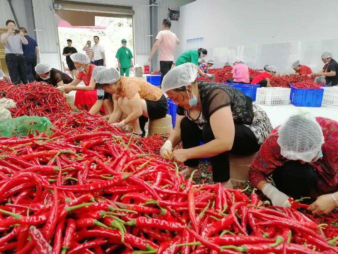 富硒蔬菜的种类（蔬菜种类富硒排名）-硒宝网