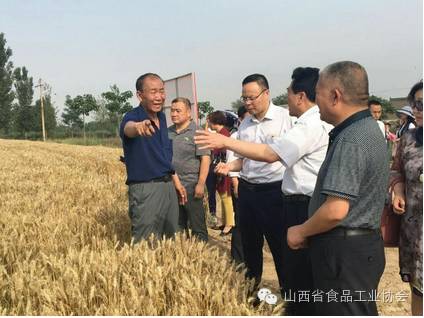 山西的富硒蔬菜（山西富硒地区）-硒宝网