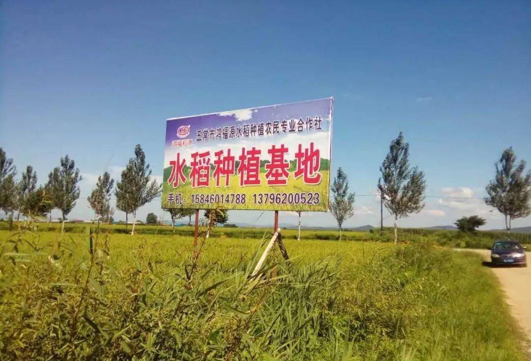 种植高富硒蔬菜（富硒蔬菜的好处）-硒宝网