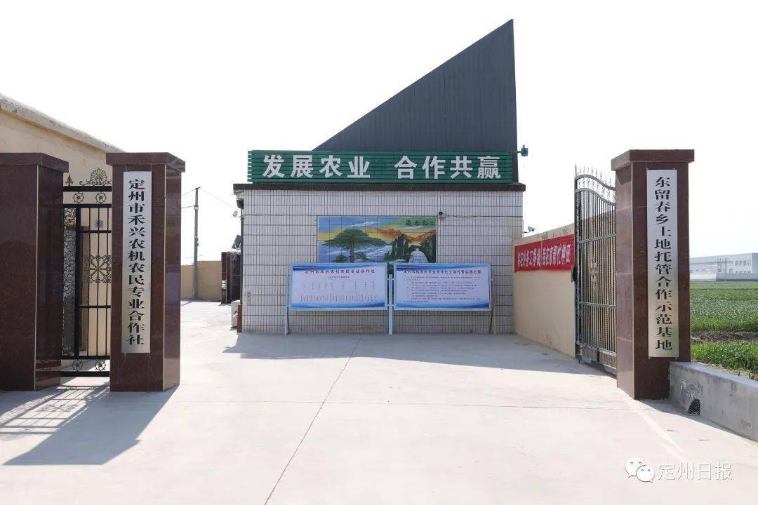 种植高富硒蔬菜（富硒蔬菜的好处）-硒宝网