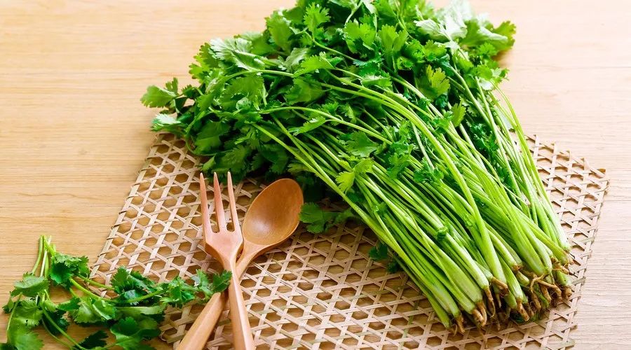 如何种富硒蔬菜(富硒地种的菜真那么值钱吗)-硒宝网