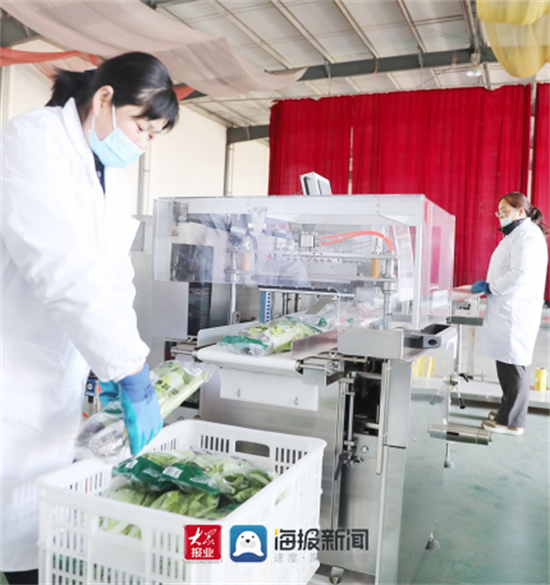 富硒蔬菜 腐烂（蔬菜腐烂富硒怎么处理）-硒宝网