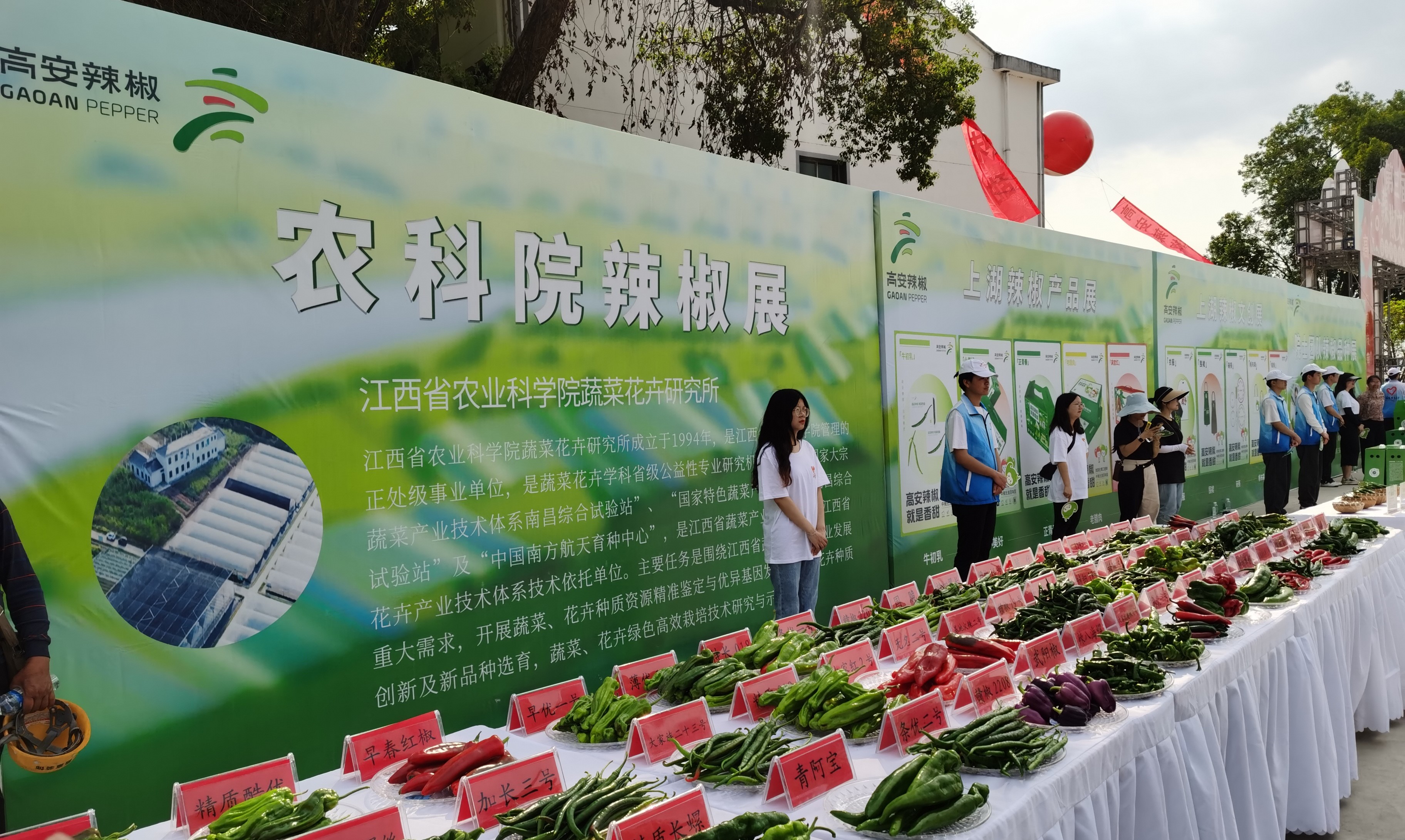 无公害富硒蔬菜（蔬菜纯天然无公害）-硒宝网