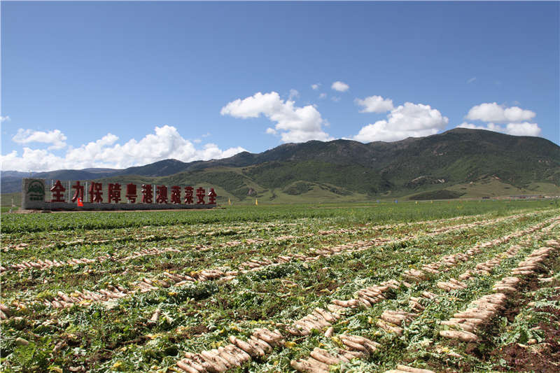 青海的富硒蔬菜（青海蔬菜富硒含量）-硒宝网