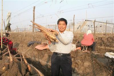 富硒蔬菜的口感(富硒蔬菜价格比普通蔬菜)-硒宝网