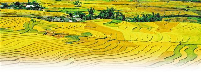 南江乡富硒蔬菜(万亩富硒蔬菜基地)-硒宝网