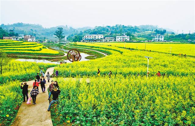 南江乡富硒蔬菜(万亩富硒蔬菜基地)-硒宝网