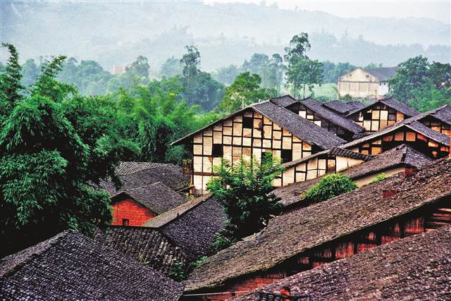 南江乡富硒蔬菜(万亩富硒蔬菜基地)-硒宝网