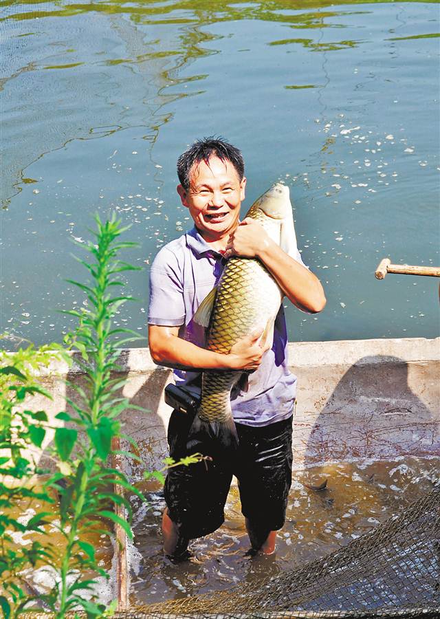 南江乡富硒蔬菜(万亩富硒蔬菜基地)-硒宝网
