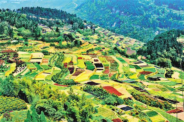 南江乡富硒蔬菜(万亩富硒蔬菜基地)-硒宝网