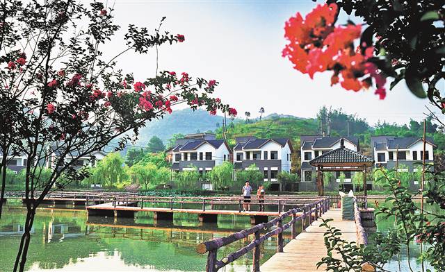 南江乡富硒蔬菜(万亩富硒蔬菜基地)-硒宝网