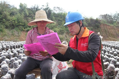 蔬菜富硒的方法（蔬菜富硒方法是什么）-硒宝网