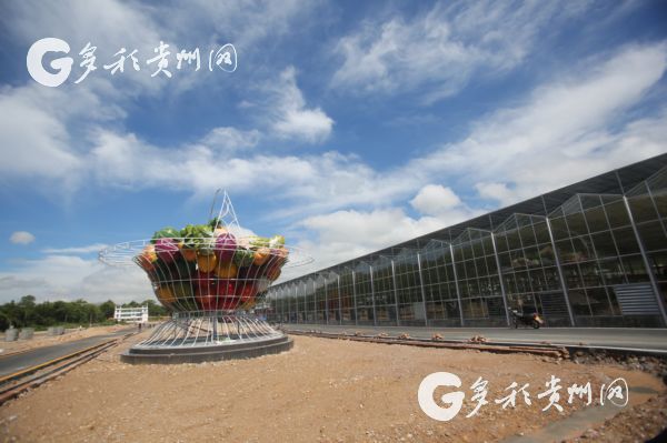 富硒蔬菜的种植（富硒蔬菜种植技术）-硒宝网