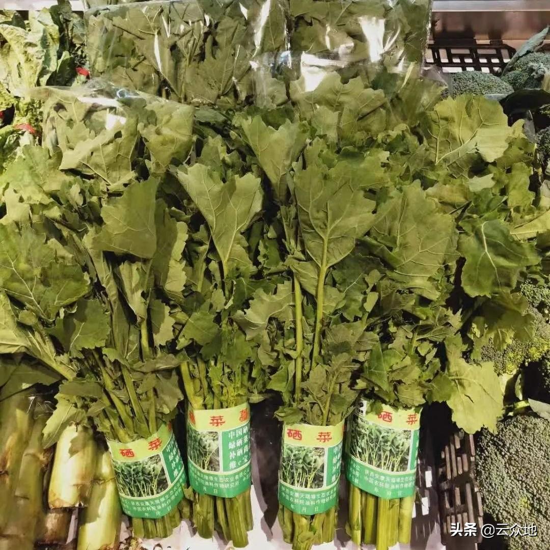 哪里有富硒蔬菜（富硒的蔬菜水果）-硒宝网