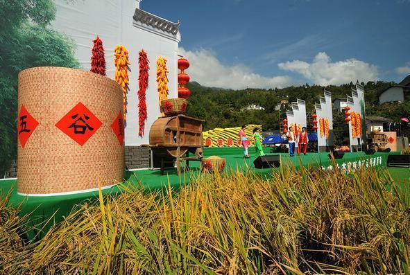 富硒蔬菜专用肥（富硒肥料）-硒宝网