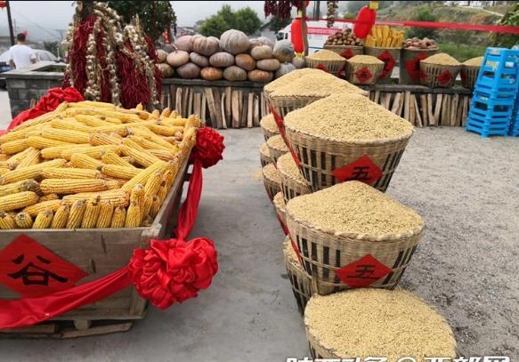 富硒蔬菜专用肥（富硒肥料）-硒宝网