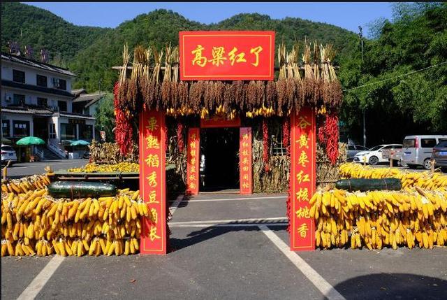 富硒蔬菜专用肥（富硒肥料）-硒宝网