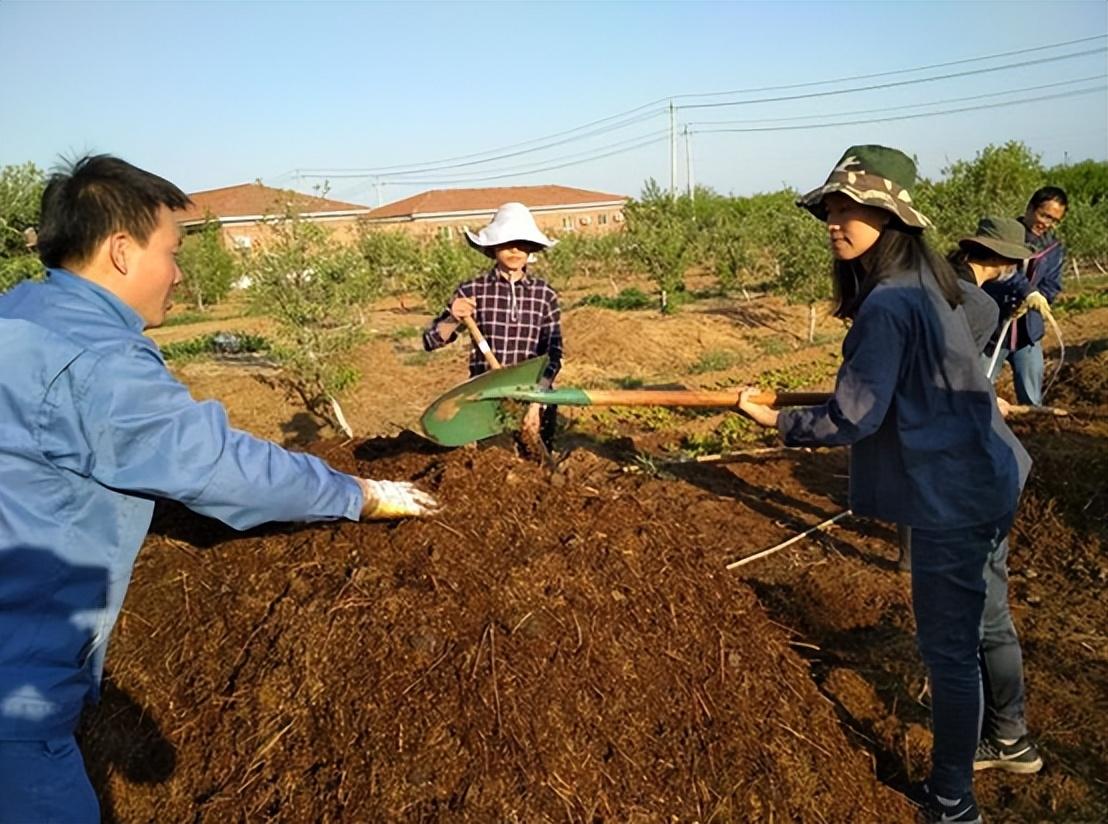 富硒蔬菜专用肥(蔬菜怎么富硒)-硒宝网