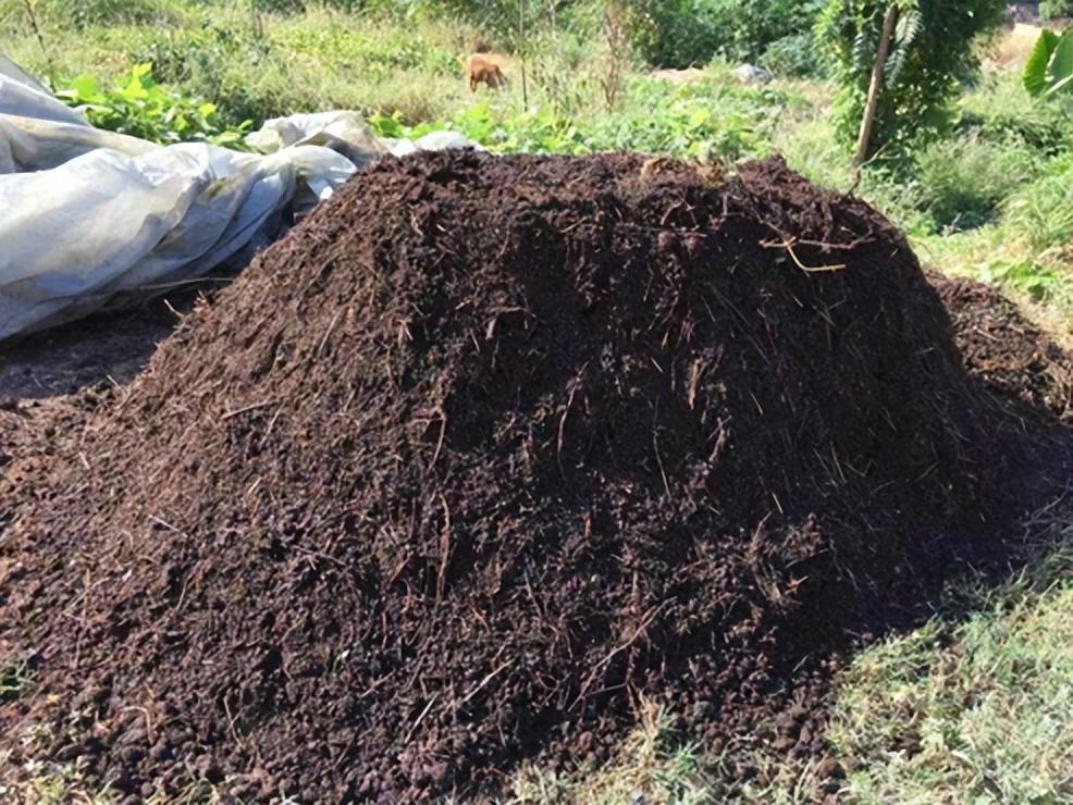 富硒蔬菜专用肥(蔬菜怎么富硒)-硒宝网