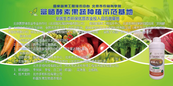 富硒蔬菜专用肥(蔬菜怎么富硒)-硒宝网