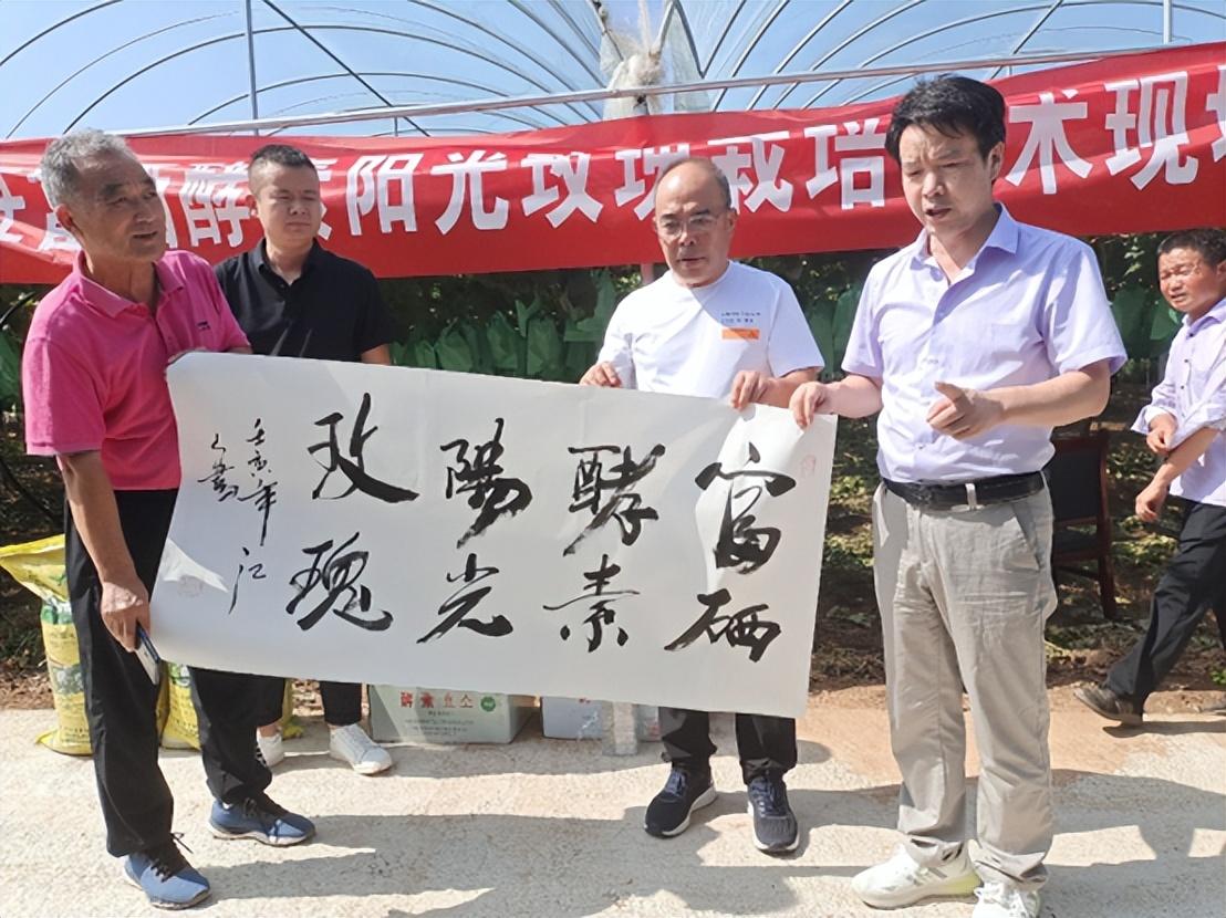 富硒蔬菜专用肥(蔬菜怎么富硒)-硒宝网