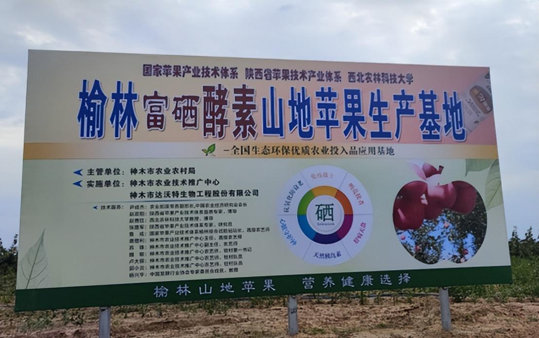 富硒蔬菜专用肥(蔬菜怎么富硒)-硒宝网