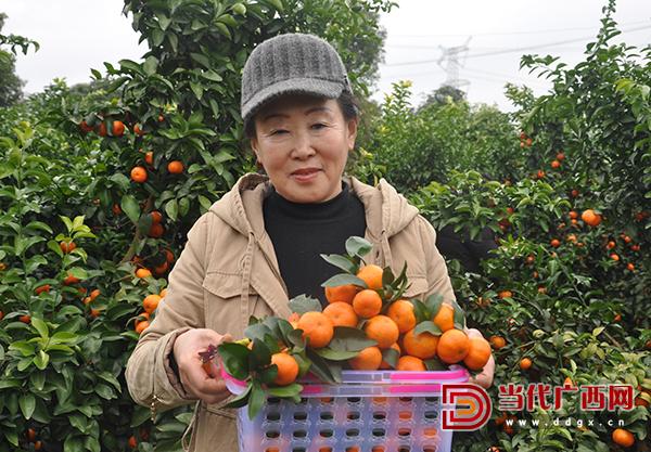 永福县富硒蔬菜（永福富硒米）-硒宝网