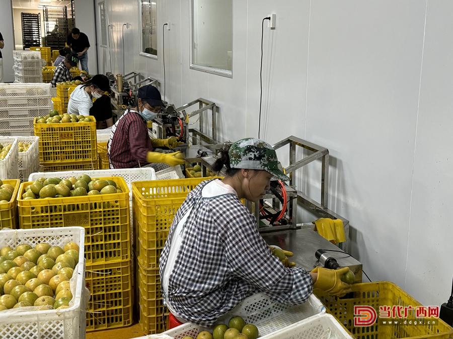 永福县富硒蔬菜（广西永福县富硒区分布）-硒宝网