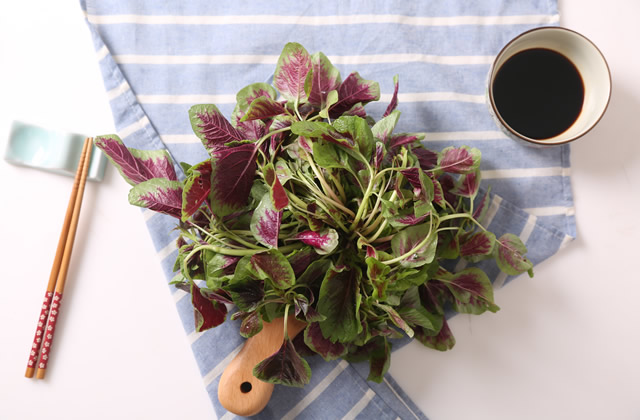 富硒高钙的蔬菜(硒元素高的蔬菜)-硒宝网