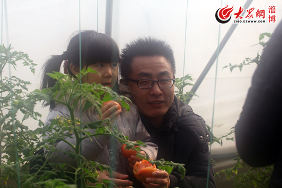 张店区富硒蔬菜（淄博富硒源家庭农场）-硒宝网