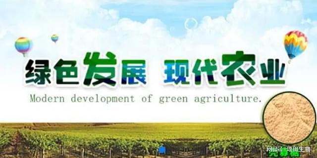 富硒叶面肥蔬菜(蔬菜叶面肥什么好)-硒宝网