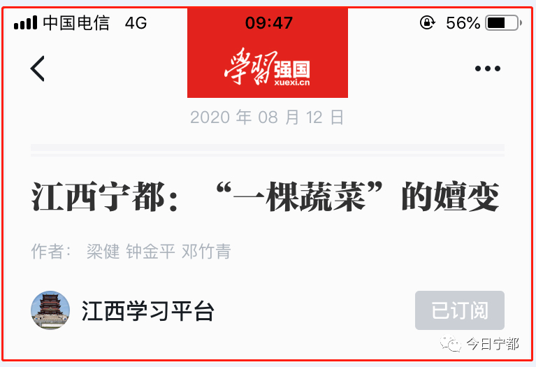 宁都县富硒蔬菜(赣州富硒蔬菜)-硒宝网