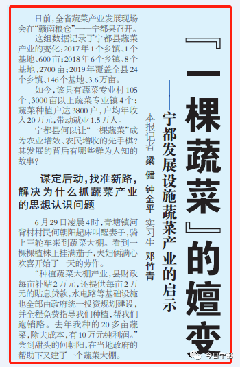 宁都县富硒蔬菜(赣州富硒蔬菜)-硒宝网