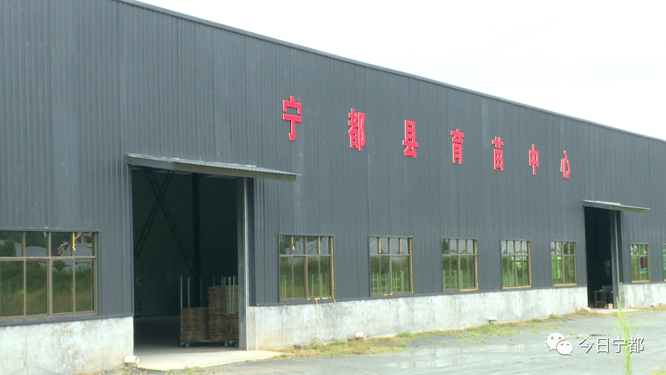 宁都县富硒蔬菜(赣州富硒蔬菜)-硒宝网