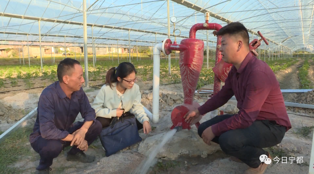 宁都县富硒蔬菜(赣州富硒蔬菜)-硒宝网