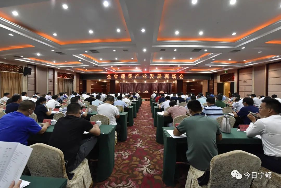 宁都县富硒蔬菜(赣州富硒蔬菜)-硒宝网