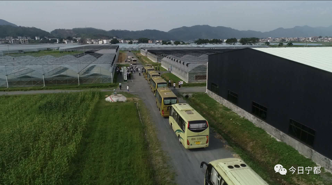 宁都县富硒蔬菜(赣州富硒蔬菜)-硒宝网