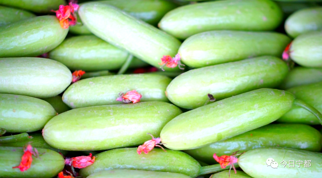 宁都县富硒蔬菜(赣州富硒蔬菜)-硒宝网