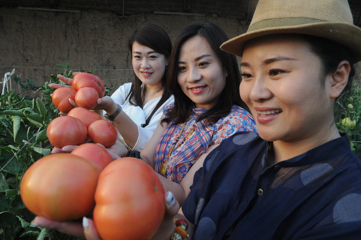 富硒蔬菜旗舰店(富硒农产品专卖店)-硒宝网
