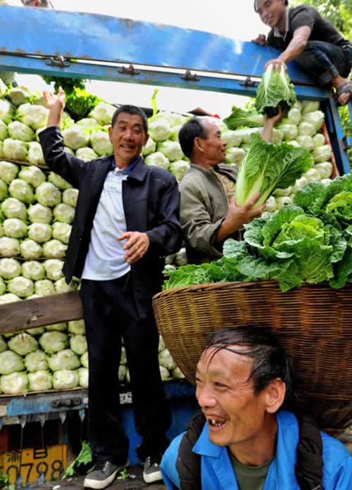 怎么做富硒蔬菜(蔬菜富硒标准是多少)-硒宝网