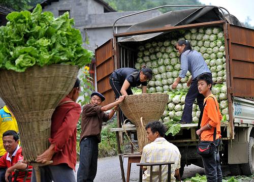 怎么做富硒蔬菜(蔬菜富硒标准是多少)-硒宝网